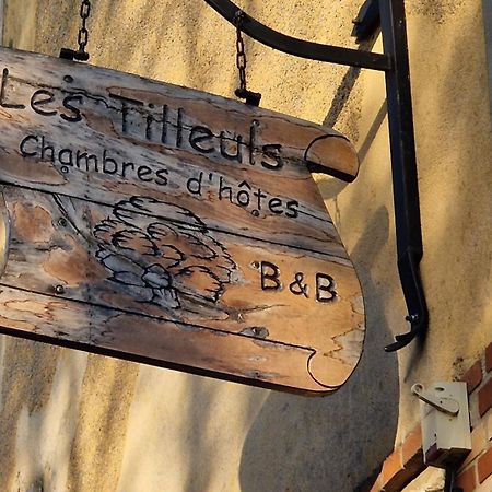 Les Tilleuls Neung-sur-Beuvron Exteriér fotografie